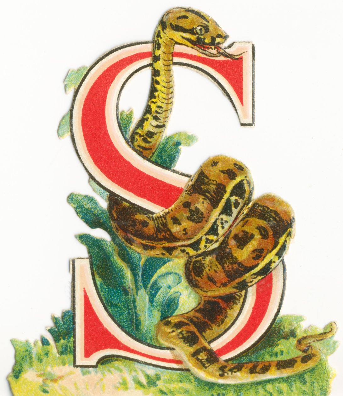S: Slange af Unknown artist