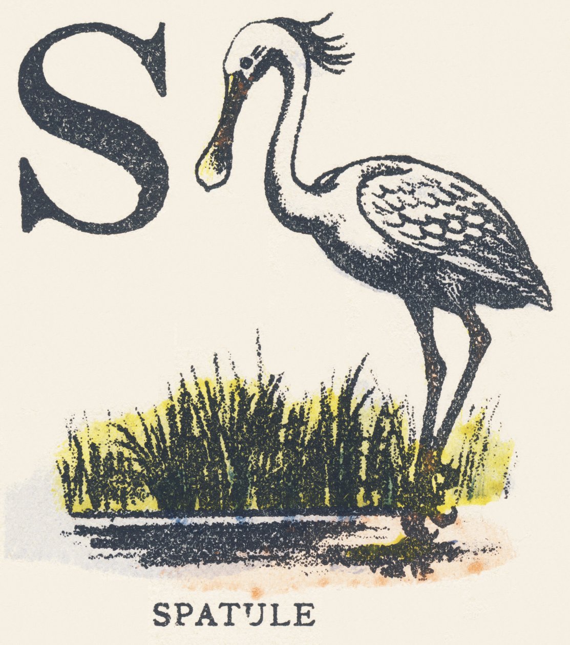 S: spatel af Unknown artist