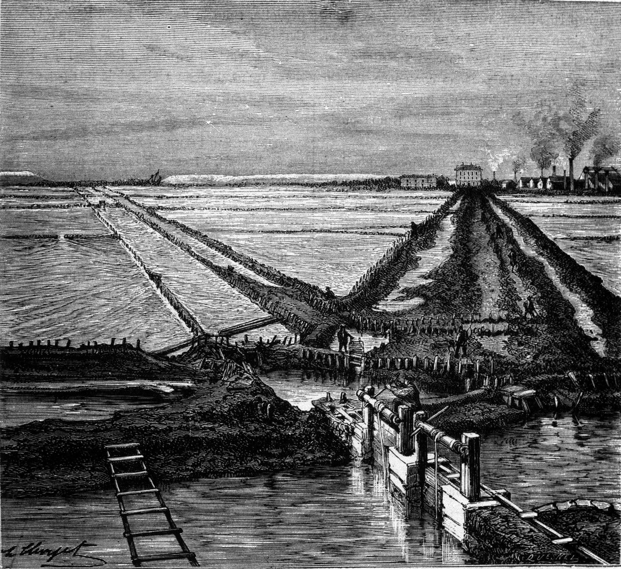 Saltproduktion: udsigt over en saltvand (saltmarsk) ved Middelhavskysten. Indgravering af det 19. århundrede af Unknown artist