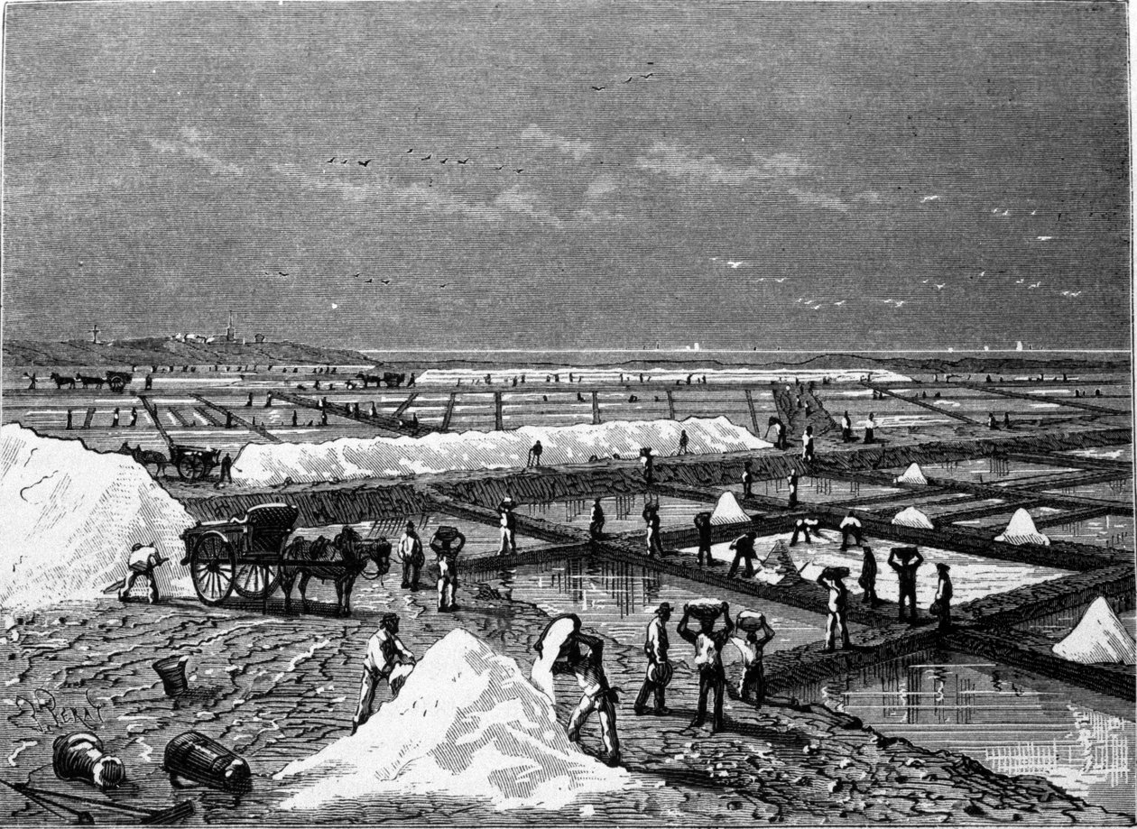 Saltproduktion: udsigt over en saltmarsk (saltvand) gravering fra det 19. århundrede af Unknown artist