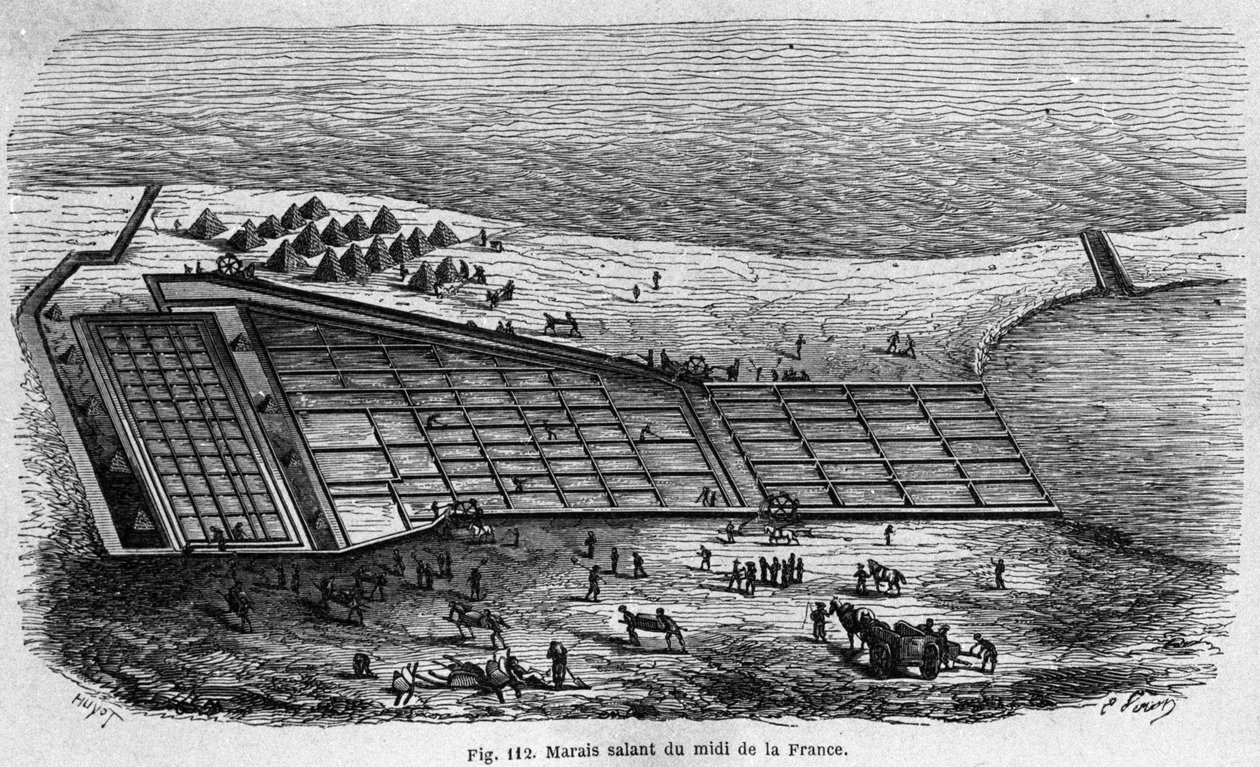 Saltproduktion: udsigt over en strandeng i det sydlige Frankrig, gravering af 1880 af Unknown artist