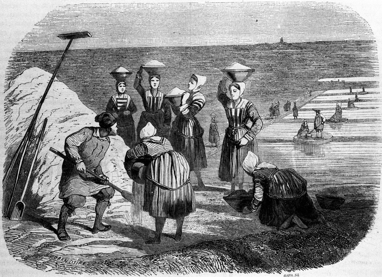 Saltproduktion: kvinder, der arbejder i strandenge. 1800-tals gravering af Unknown artist
