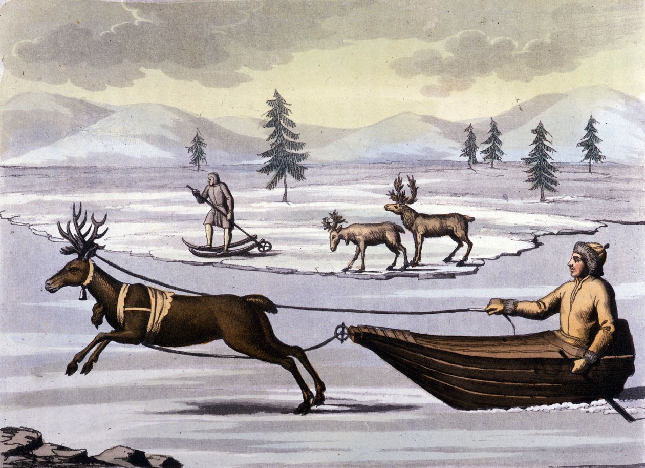 Samer: oprindelige folk, der bor i landene i de nordlige lande (Norge, Finland, Sverige og Rusland) bevæger sig med rensdyrkælk eller på ski. Indgravering af det 19. århundrede af Unknown artist