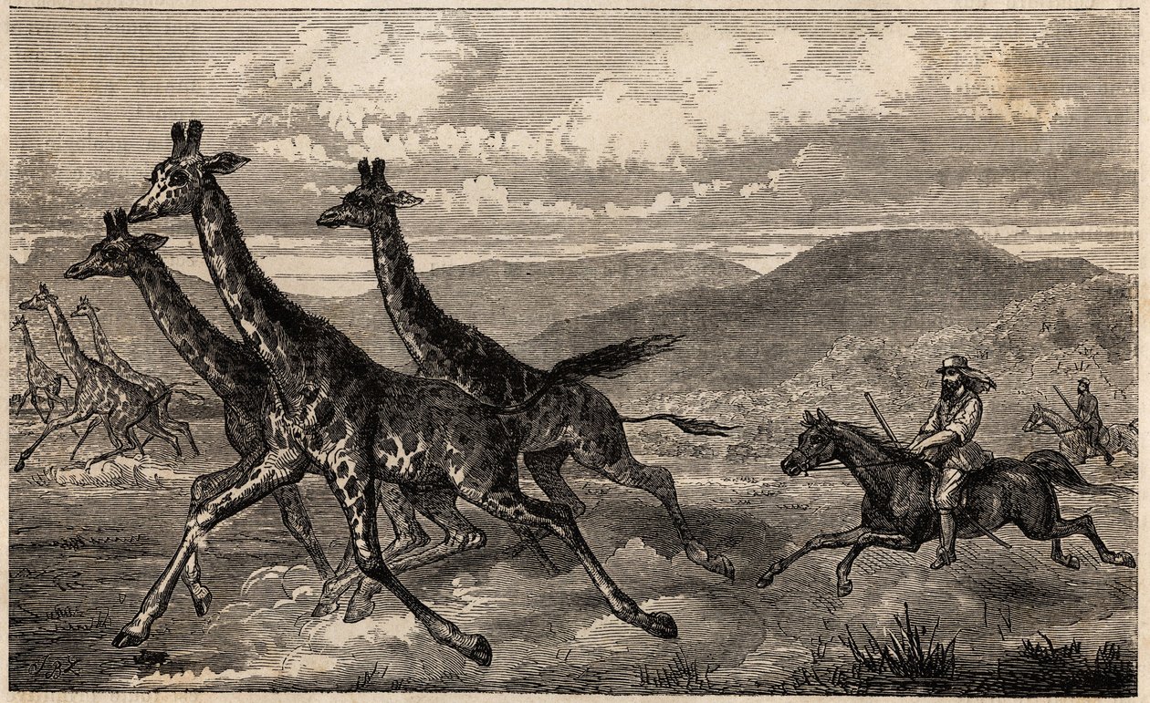 Samuel W. Baker jager giraf i Centralafrika i Upper Nile-regionen. Indgravering til illustration af turen til Lake Albert, i 1861-1864, af Sir Samuel White Baker, i "Le tour du monde, nouveau journal des voyages"" udgivet under ledelse af Ed af Unknown artist