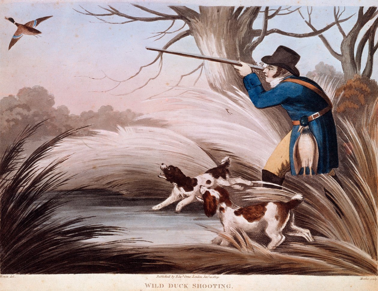 Scene med andejagt i England. 1800-tals litografi Gien, jagtmuseum af Unknown artist