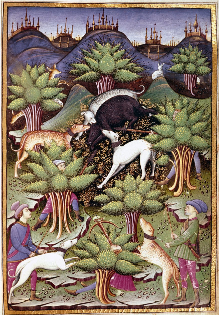 Scene med vildsvinejagt Miniature fra "" Behandl falkejagt og veneri med mottoet og emblemet for hertugen af Sforza" 1459 (ms. 1375) Chantilly, Musee Conde af Unknown artist