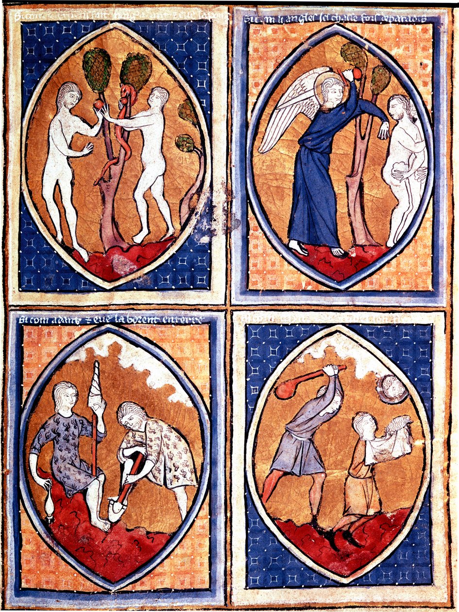 Scener fra Bibelen afbildet i mandorler. Adam og Eva plukker den forbudte frugt og jager derefter fra himlen. Dernede arbejder Adam jorden, og Eva giver ulden, Kain og Abel. Miniature fra et manuskript fra 1200-tallet. Porto, kommunalt bibliotek af Unknown artist
