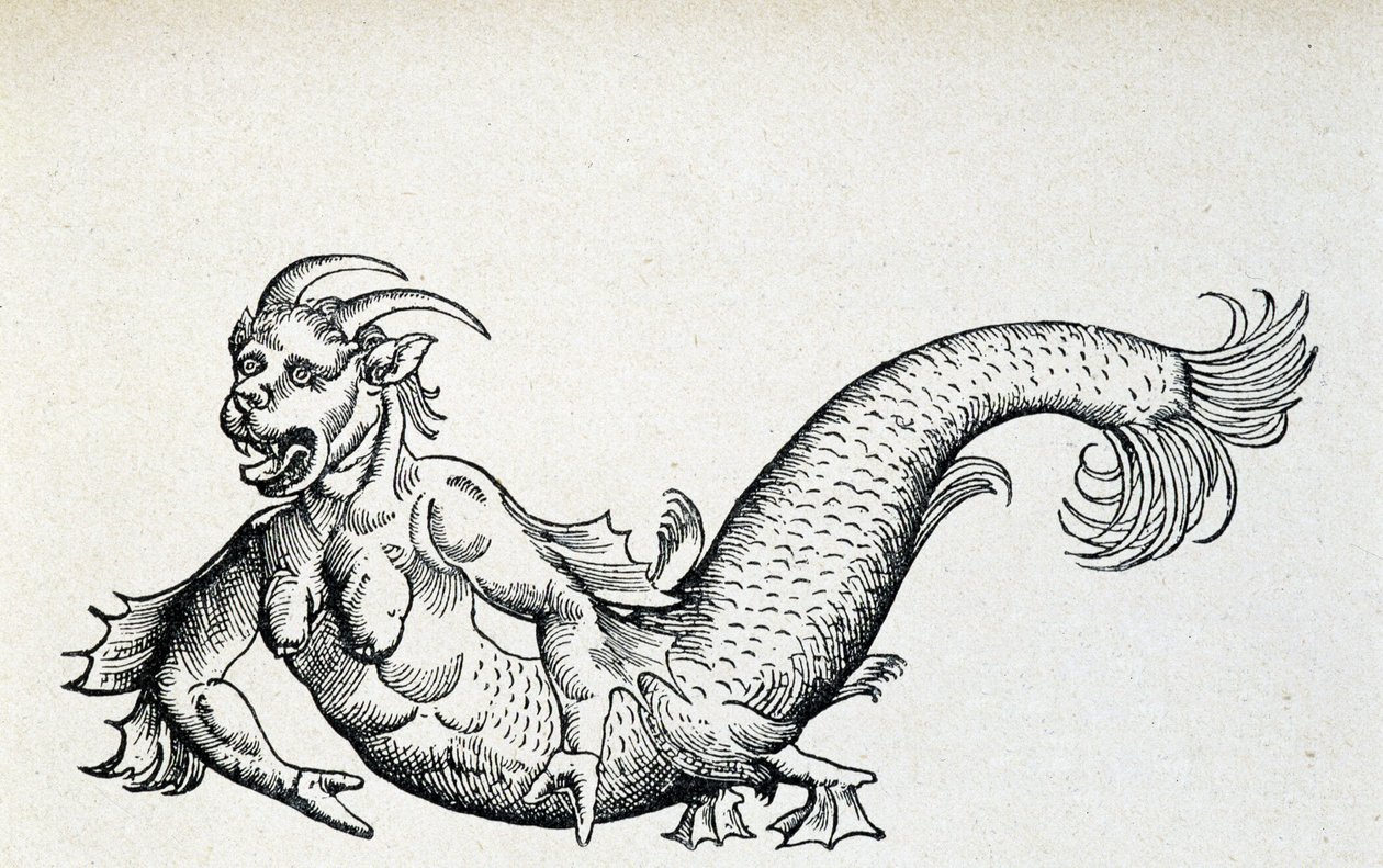 Havdjævel, angiveligt fanget i Adriaterhavet i begyndelsen af det 15. århundrede - ifølge Gesner af Unknown artist
