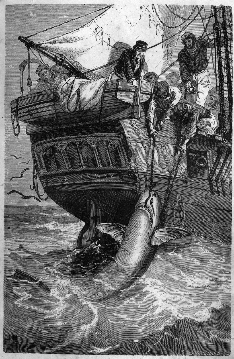 Hajfiskeri. (Pesca allo squalo) 1800-tals gravering. Privat samling. af Unknown artist
