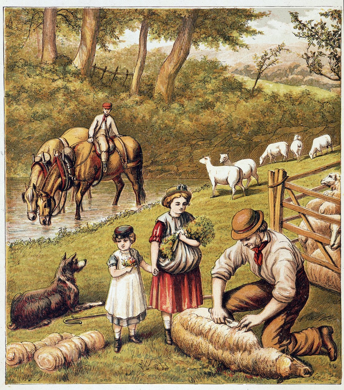 Fåreslåning - kromolitografi af Unknown artist