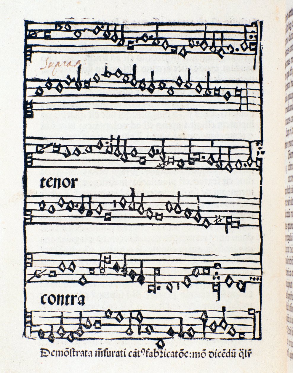 Nodeside for musikologiske studier og dokumenter af Nicola Burzio af Unknown artist