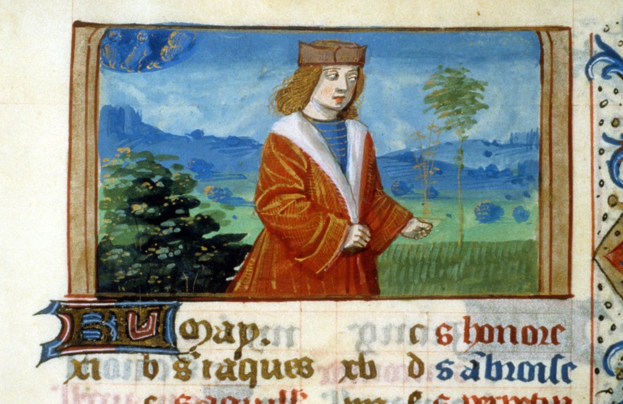 Tegn på Tvillingerne og Mennesket i Markerne - Miniature, Middelalder: Anmod om tilladelse fra Toulouses kommunale bibliotek (tlf.: 05 62 27 66 66) af Unknown artist