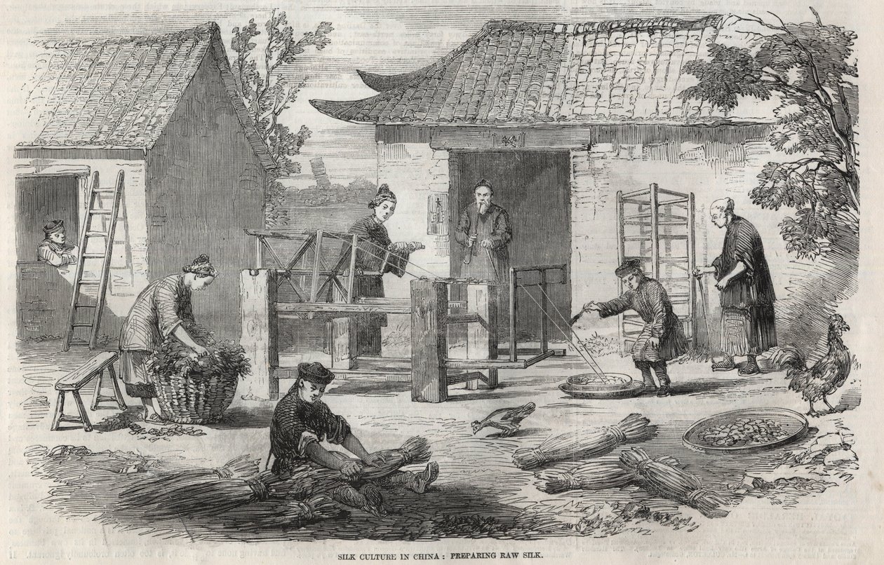 Silkeproduktion i Kina og de forskellige stadier af fremstillingen. af Unknown artist