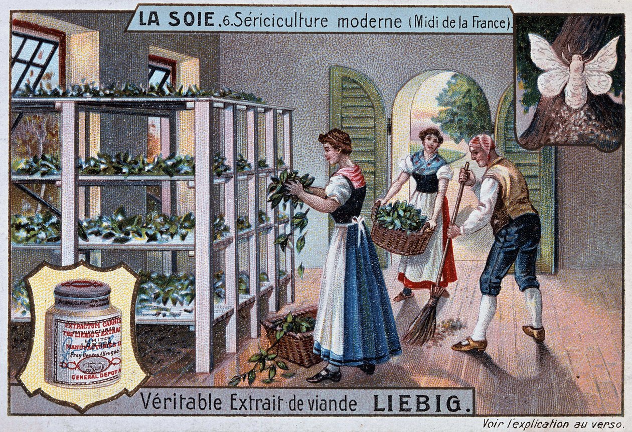 Silke: silkeværksted i Sydfrankrig, Liebig-reklame, v. 1895 af Unknown artist