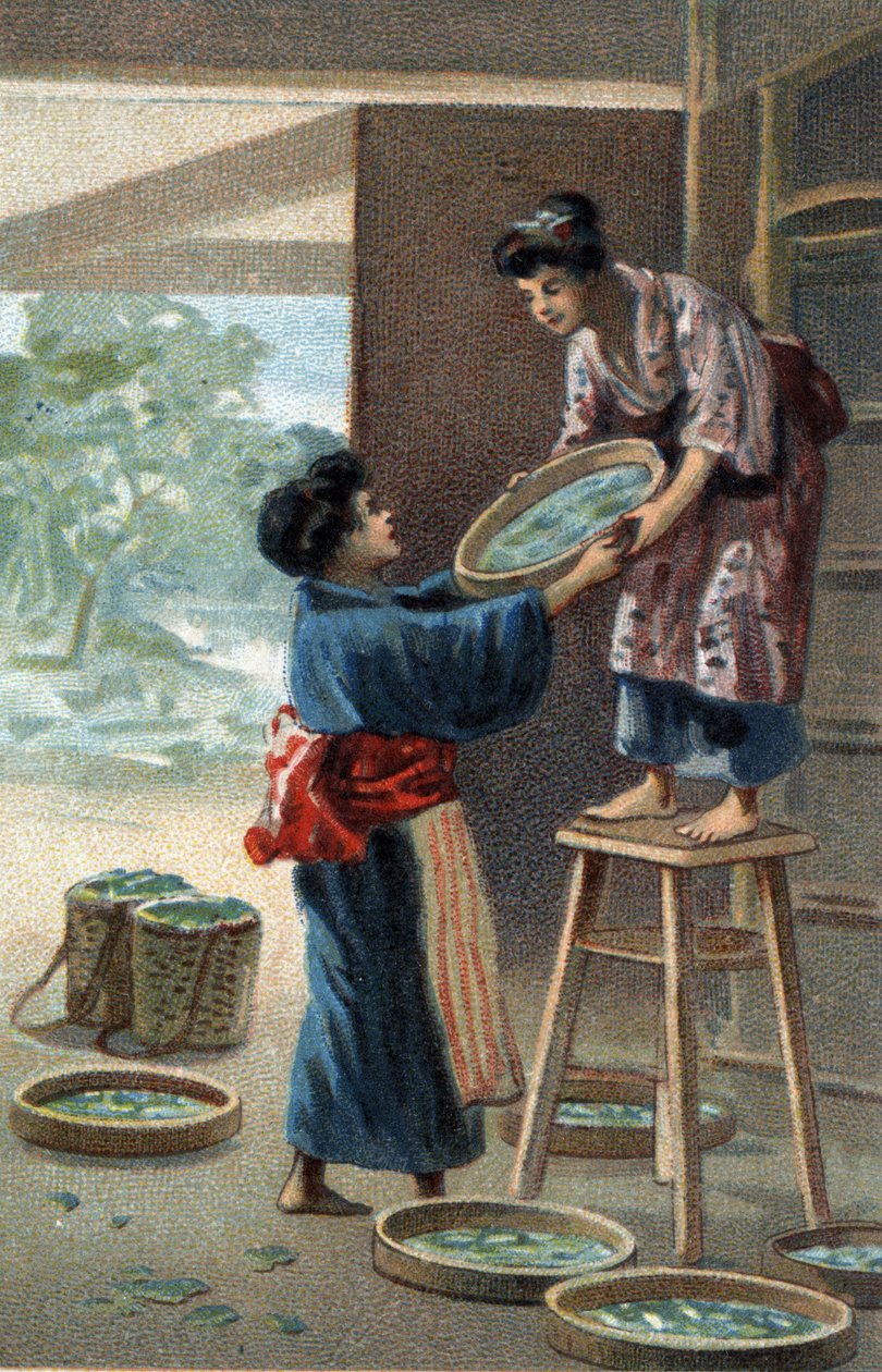 Silkeormeavl i en japansk magnet. Kromolitografi i slutningen af det 19. århundrede. af Unknown artist