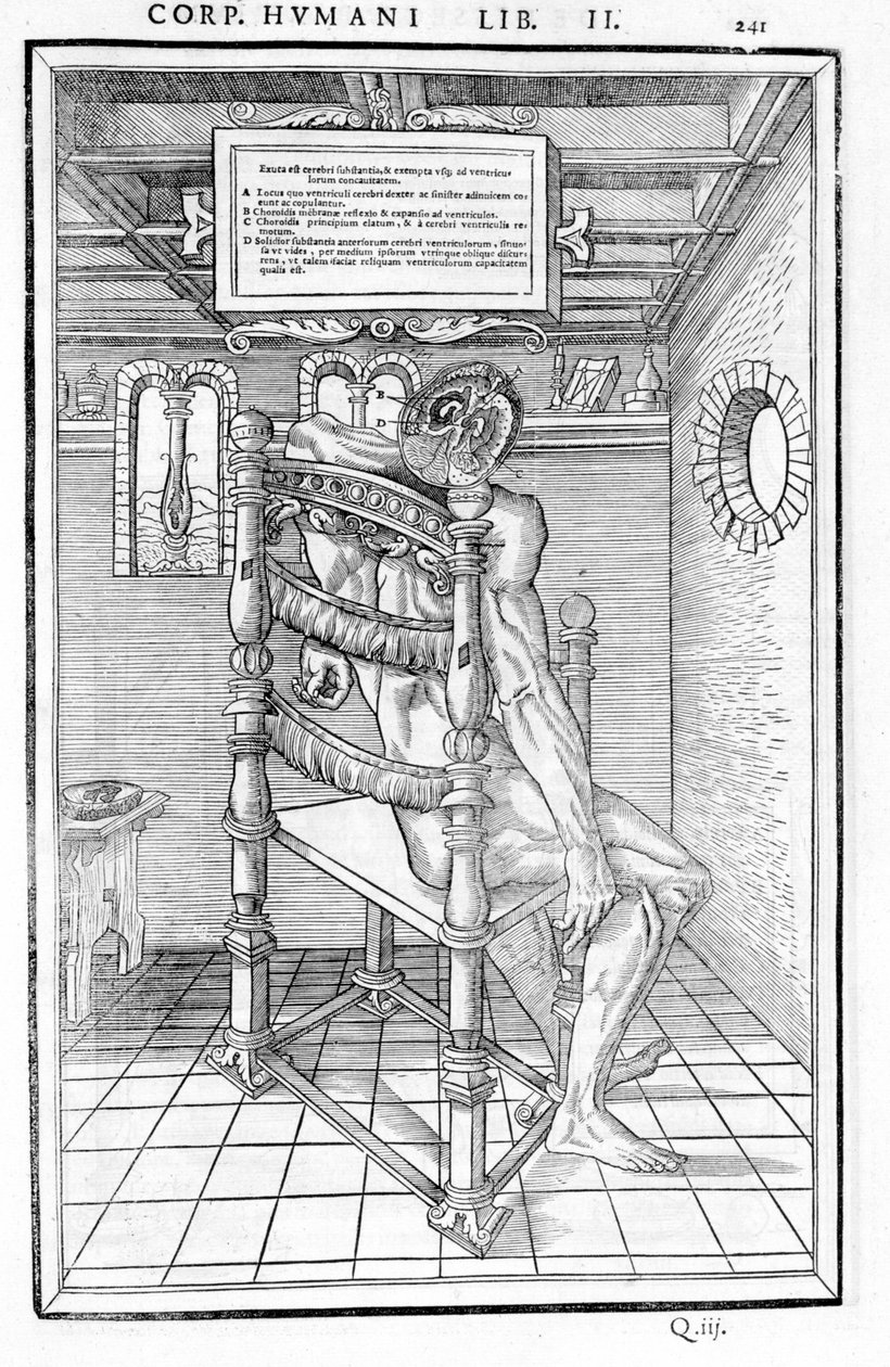 Skalle skåret. Anatomisk bord for "Dissektionen af ​​de tre dele af den menneskelige krop..." Carlo Stefano Riverio, Paris 1545 af Unknown artist