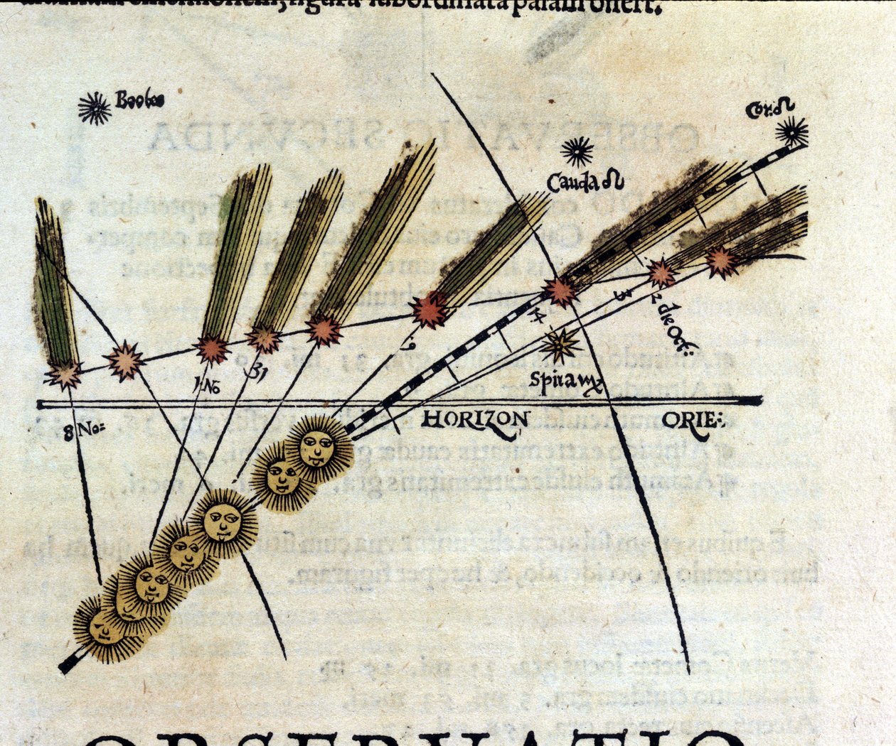 Studie af kometer - i Astronomicon caesarum, afhandling fra det 16. århundrede. af Unknown artist