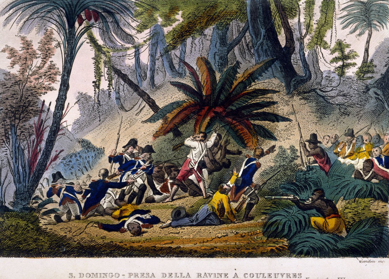 Taget de la Ravine at Works den 23/02/1802. Leclerc-ekspeditionen, som omkranser tropperne fra Francois Dominique Toussaint, kendt som "Toussaint-Louverture" (Toussaint Louverture) af Unknown artist