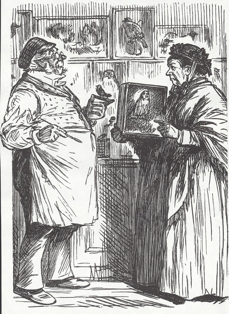 Taxidermist, slutningen af det 19. århundrede (trægravering) af Unknown artist