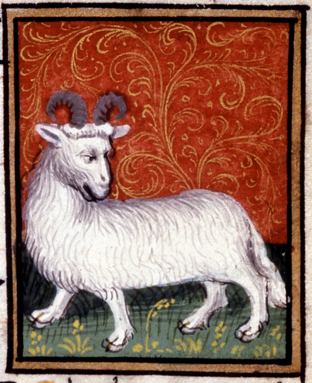 Vædderen. Miniature af et horoskop. 1400-tallets manuskript. Bibl. Trivulziana, Milano. af Unknown artist