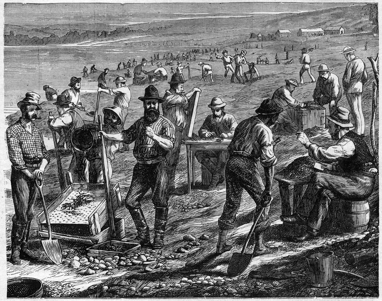 Diamond Fields at the Cape - Washing for Diamonds - Vask diamanter i Sydafrika i det 19. århundrede. af Unknown artist