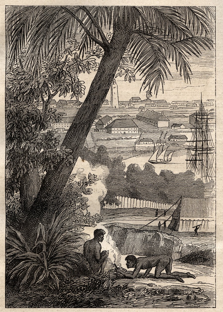 Ekspeditionen til de sydlige lande (1800-1803) af Nicolas Baudin (1754-1803): Udsigt over Sydney (Australien) - illustration fra "The Great Mariners of the 18th century"" af Unknown artist