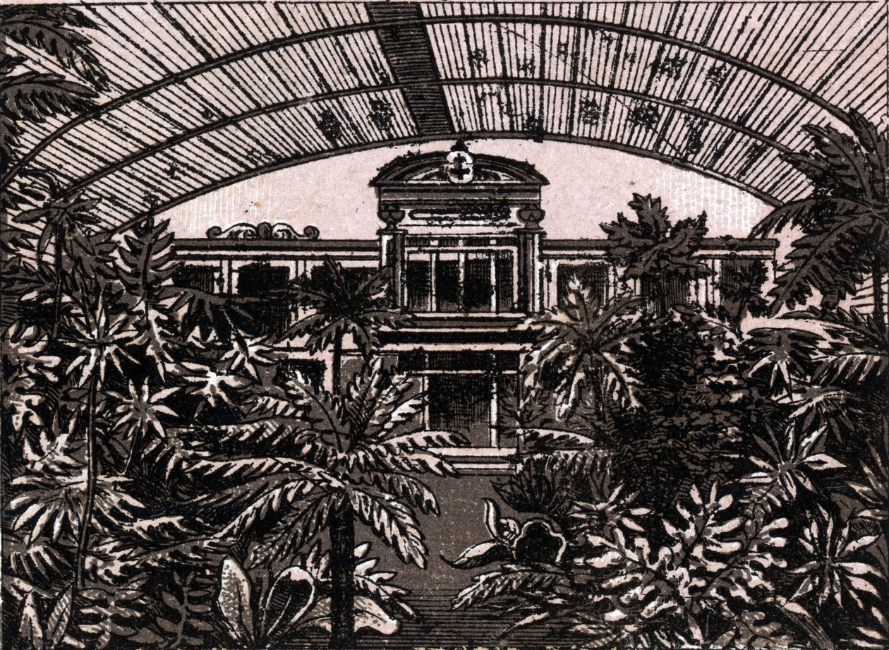 Palmehaven i Frankfurt, Tyskland (Frankfurt, Tyskland) i "The World Illustrates 168 Views" Udateret (slutningen af det 19. århundrede) af Unknown artist