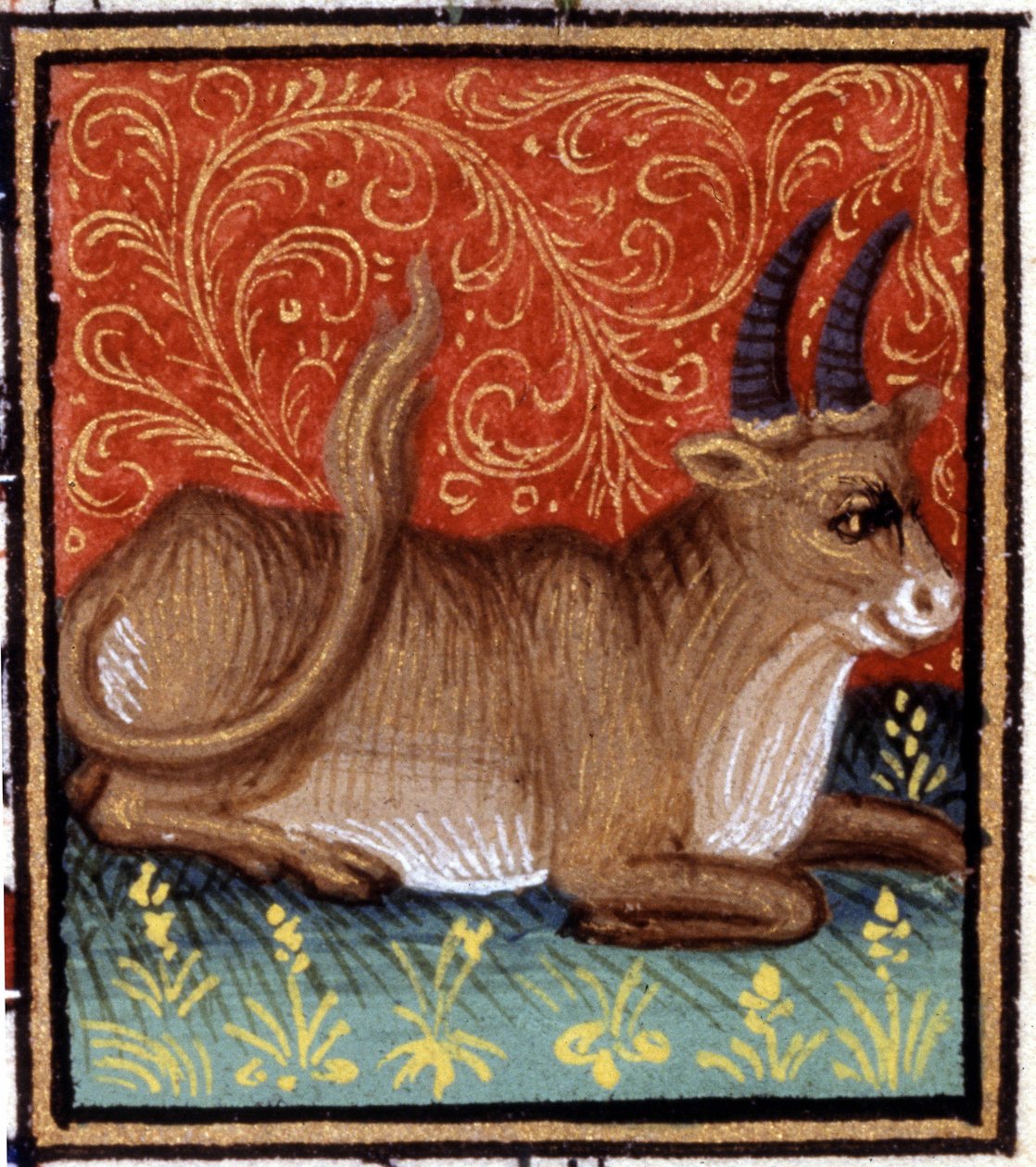 Tyren. Miniature af et horoskop. 1400-tallets manuskript. Bibl. Trivulziana, Milano. af Unknown artist