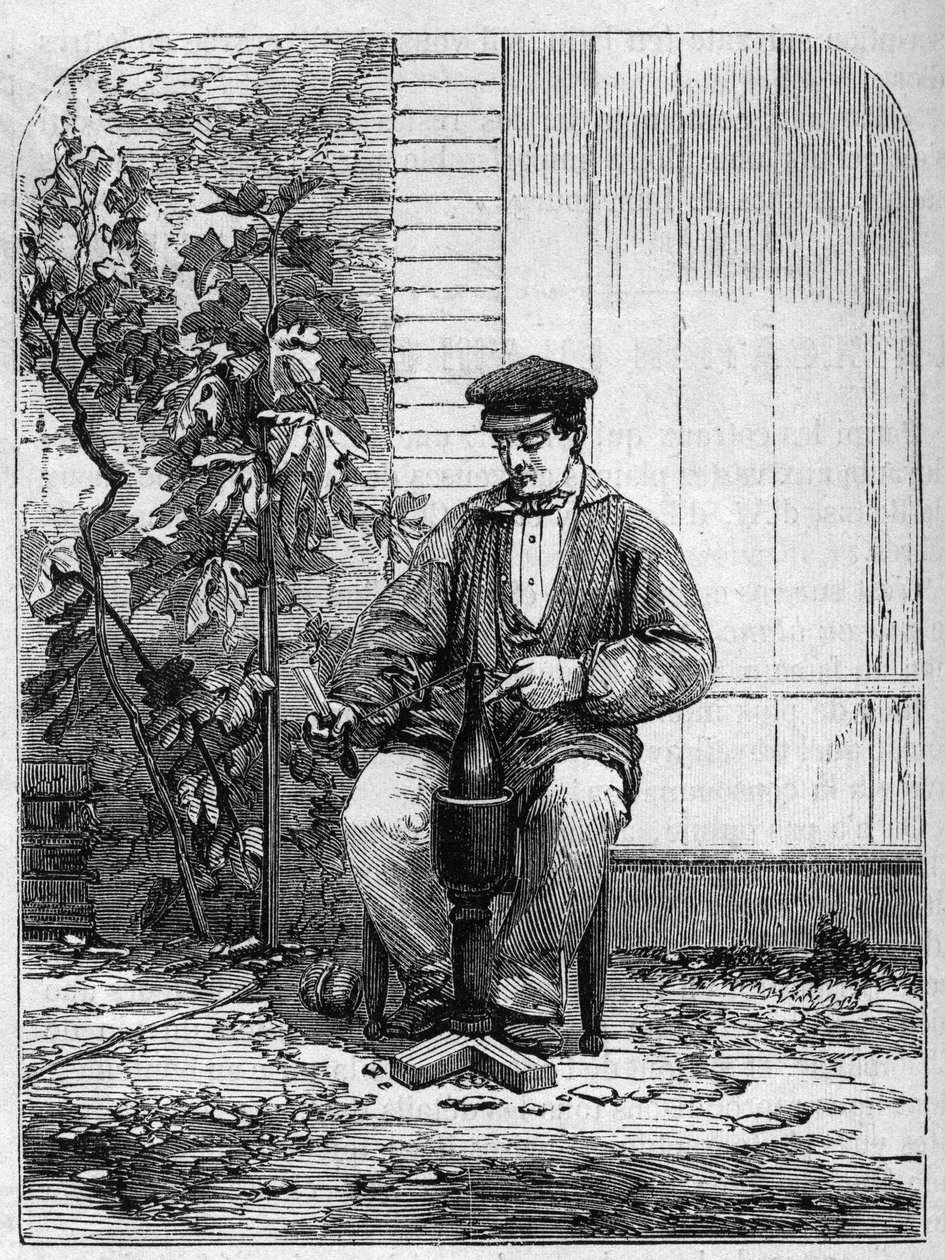 Aftapning af champagnevin. Stik fra 1864. af Unknown artist
