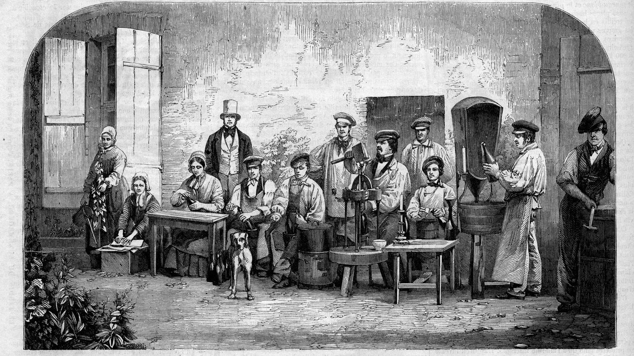 Aftapning af champagnevin. Stik fra 1864. af Unknown artist