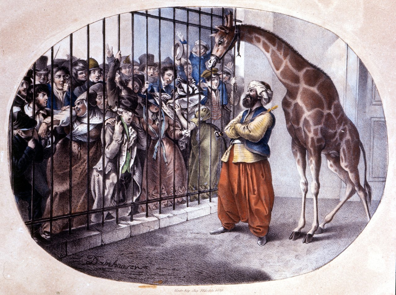 Den nysgerrige skare skyndte sig for at se en giraf bag en port. Litografi af Danhaaren. 1829 af Unknown artist