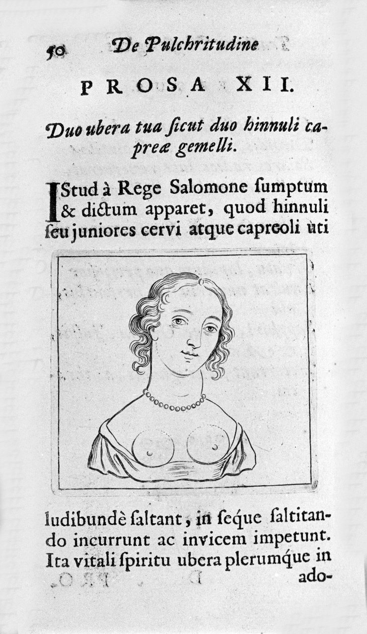 Det feminine bryst. Side taget fra "A Study of Physiological Beauty"" omhandler Ernesto Venio (Ernestus Vaenius), der forsvarer skabelsens skønhed mod en anonym modstander. 1612 af Unknown artist