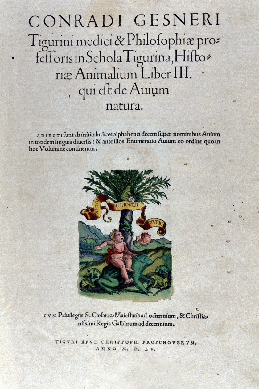 Forsiden af ​​tredje bind af Historia Animalium af Conrad Gesner (1516 - 1565), Tiguri af Unknown artist