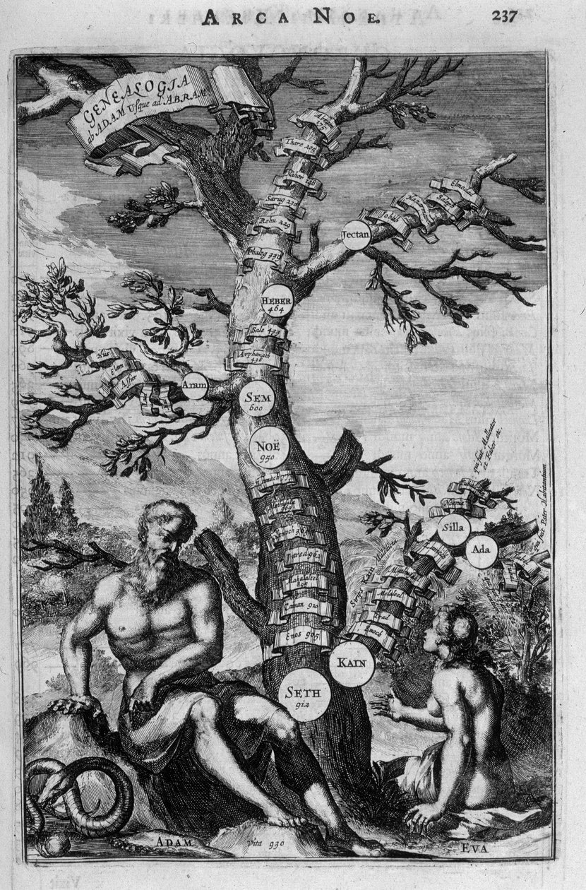 Slægtstræet fra Adam til Abraham - bibel af Unknown artist