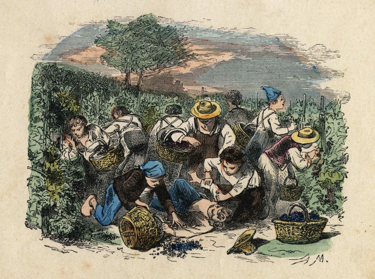 Høsten. 1800-tals illustration. Bianchetti samling af Unknown artist