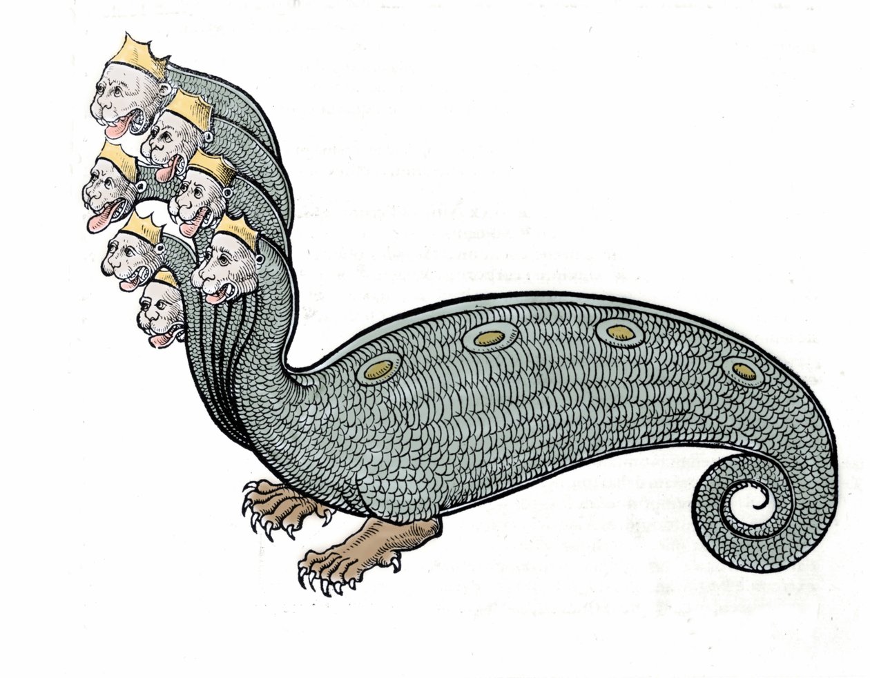 Hydraen med de syv hoveder er en vandslange med en hundekrop. af Unknown artist