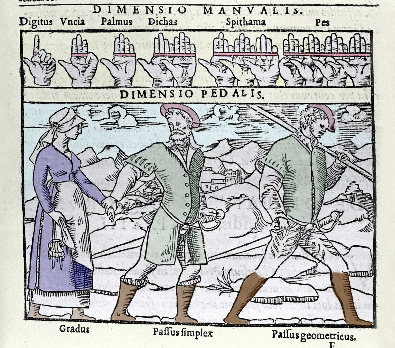 Længdeenheden brugt i 1500-tallet. Top: digitus (finger eller tommelfinger), palmus (håndflade eller empan = 4 fingre), pes (fod = 4 finner). Nederst: Gradus (ikke enkelt), Passus (ikke dobbelt) simplex og Passus geometricus. Stik fra "Cosmographia" af Pet af Unknown artist