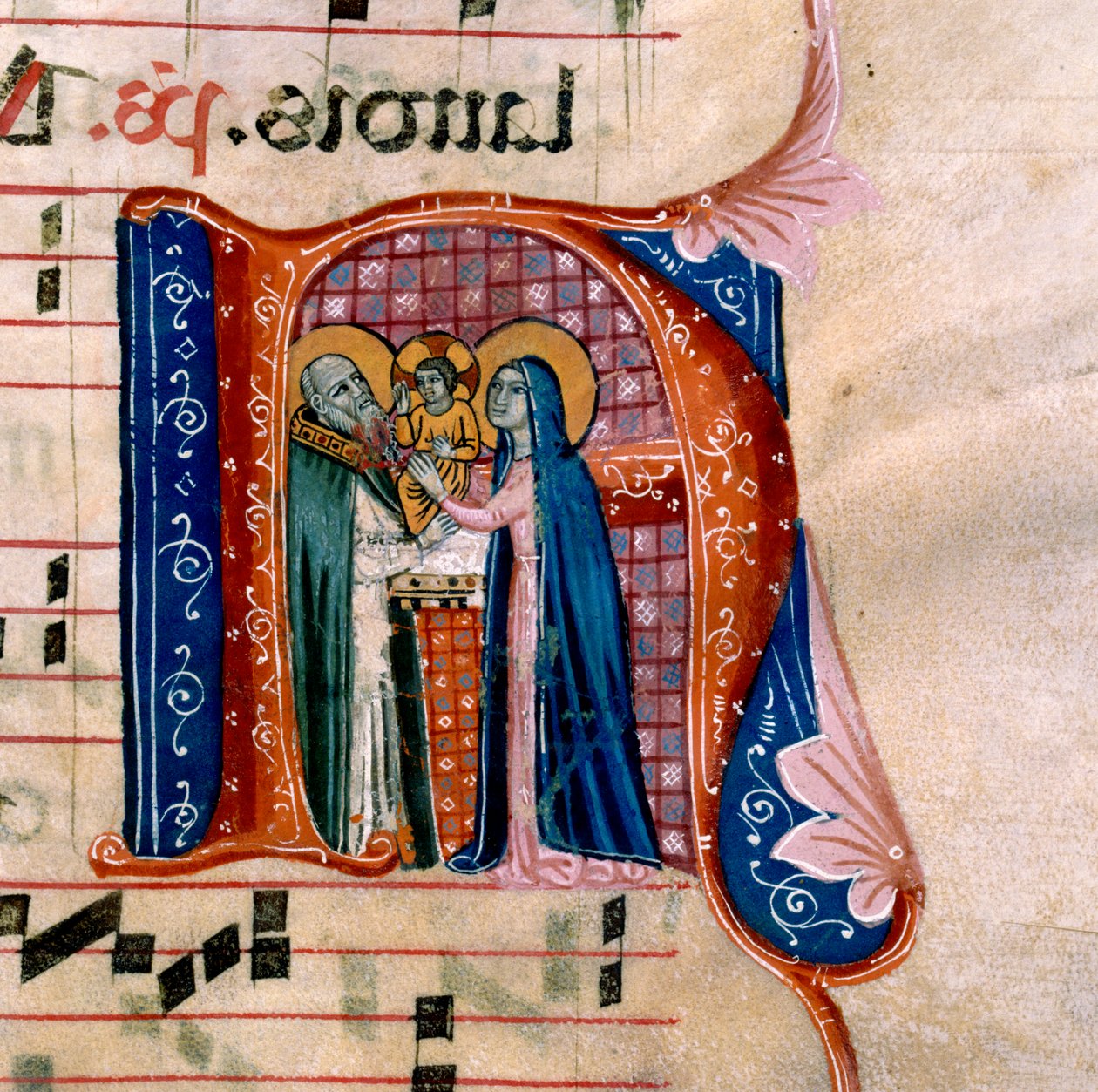 Bogstavet "N" med en skildring af præsentationen ved templet: f.36v af Antifonariet af Unknown artist