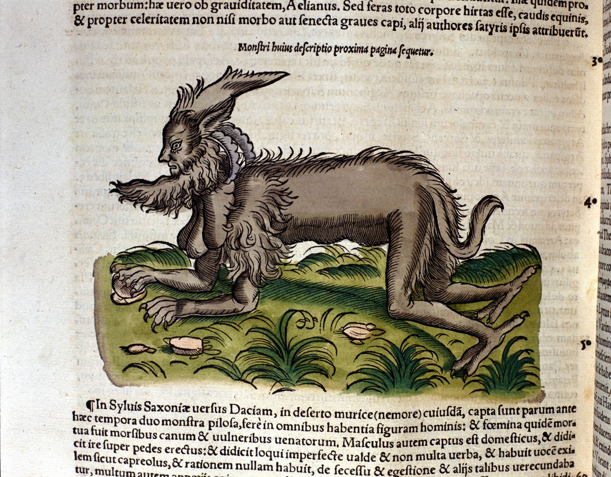 Mantikernen fra Historia Animalium af Conrad Gesner, Tiguri 1560. Biblioteca nazionale Braidense. Milano af Unknown artist