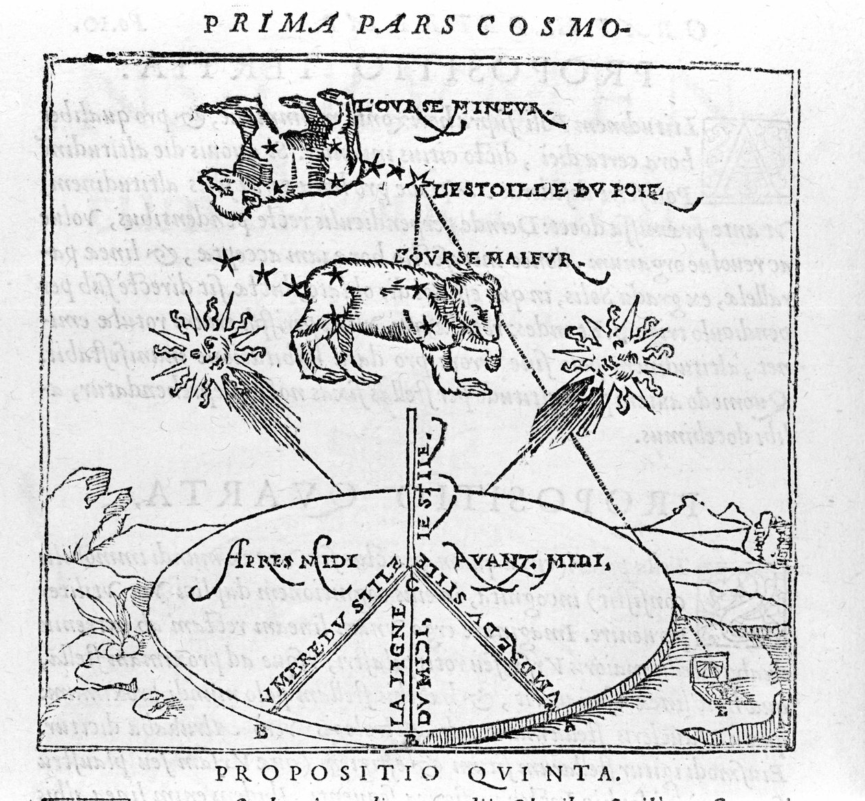 Polarstjernen og stjernebillederne af Bjørnen efter "cosmographia"" af Pietro Apianus. Paris 1551 af Unknown artist
