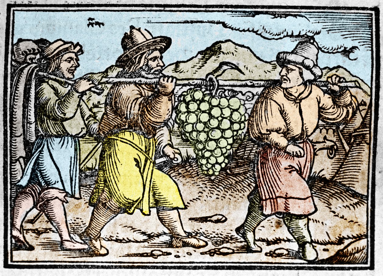 Joshuas og Kalebs tilbagevenden med en enorm klase druer fra Kanaans land (det forjættede land). Kronik af Johann Stumpff "" Den edlen strucen besten fromen"" af Unknown artist