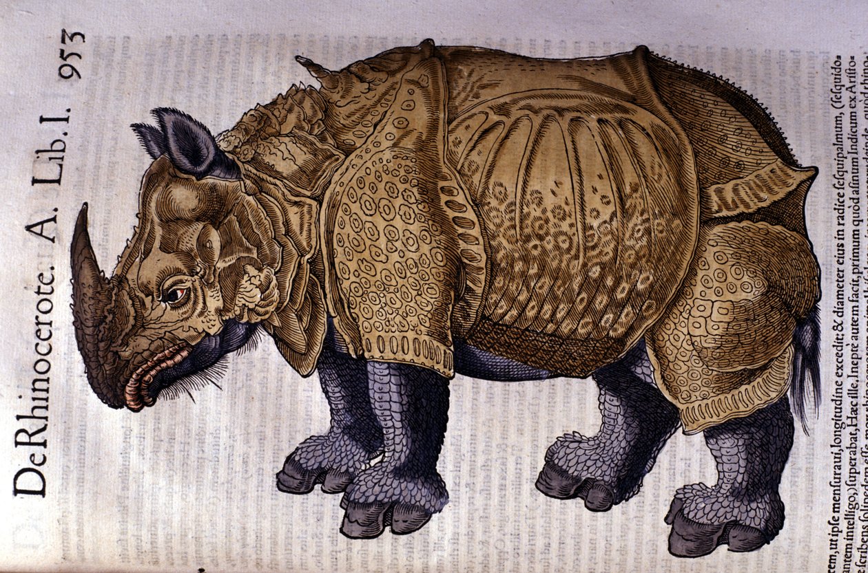 Næsehornet efter "Historia Animalium" af Conrad Gesner, Tiguri 1560. af Unknown artist