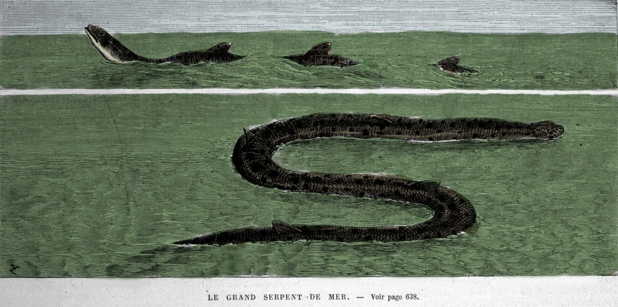 Havslangen observeret i 1872 i Meridional Atlanterhavet. af Unknown artist
