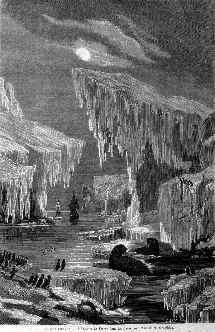 Skibene "Erebus" og "Terror" under ekspeditionen ledet af Sir John Franklin (1786-1847), ind i isen. Indgravering af det 19. århundrede af Unknown artist