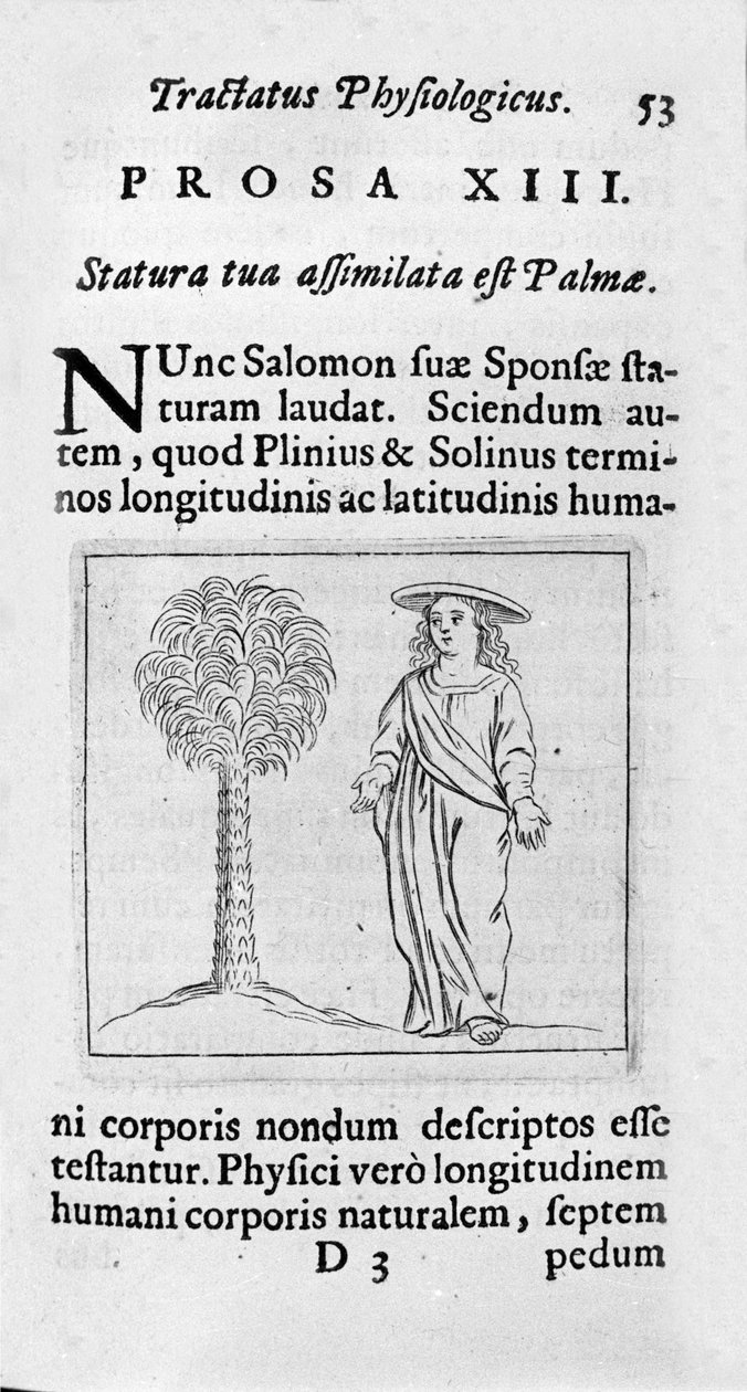 Kvindens størrelse. Side taget fra "" Tractatus physiologicus de pulchritudine""" omhandler Ernesto Venio (Ernestus Vaenius), der forsvarer skabelsens skønhed mod en anonym modstander. 1612 af Unknown artist