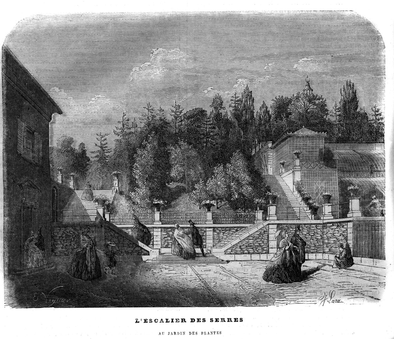 Drivhustrappen i planternes have i Paris i 1858. af Unknown artist