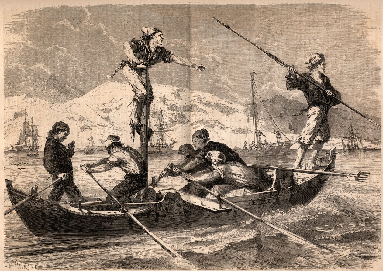 Sværdfisken harpunfiskeri (pesce spada, sværdfisk) på Siciliens kyst i Italien i 1862. Indgravering i "Le Monde illustrious"" fra 1862. Privat samling. af Unknown artist