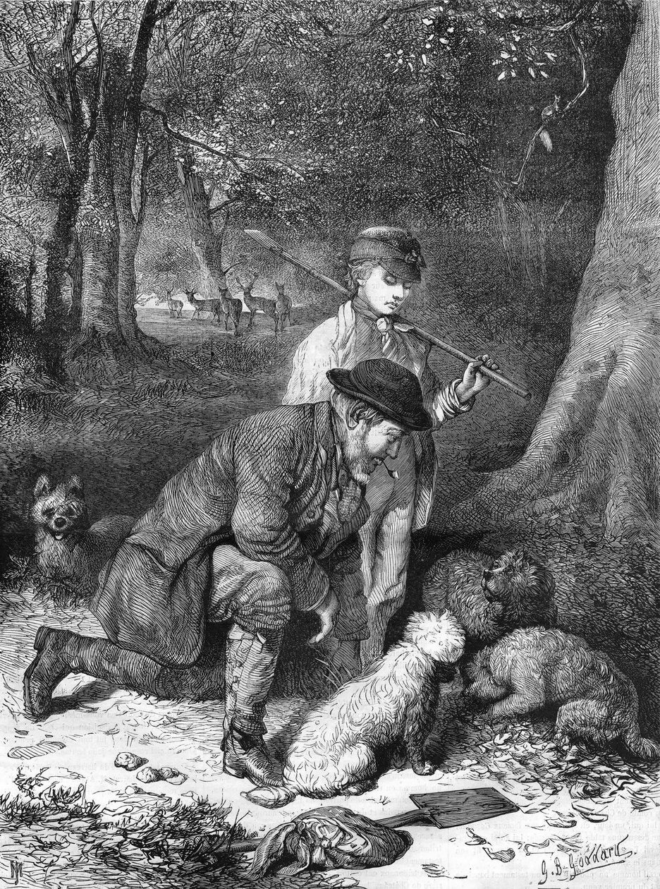 Trøflerne. Gravering fra 1870. af Unknown artist
