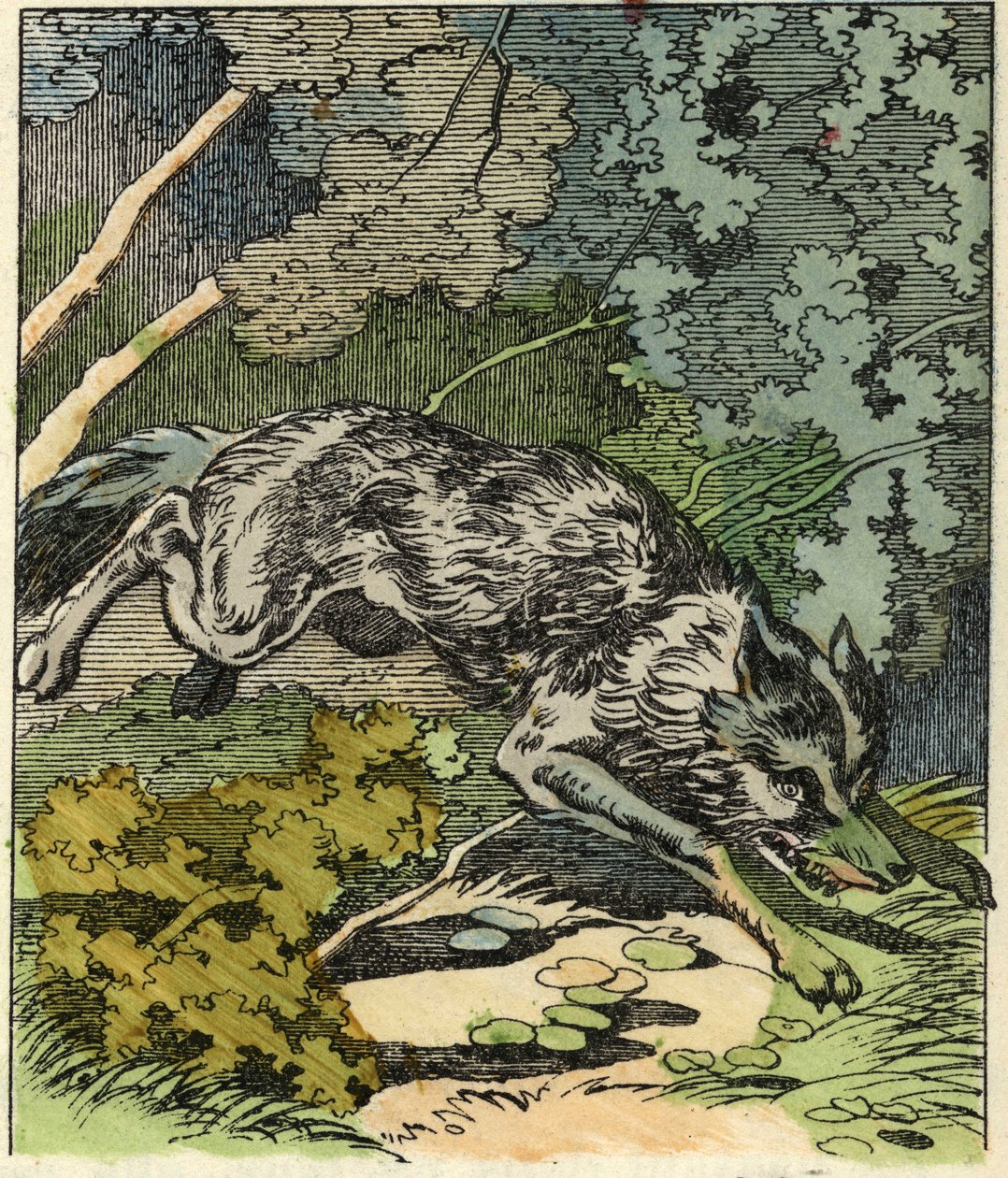 Ulven løber til bedstemors hus. Illustration af fortællingen "Den Lille Rødhætte" af Charles Perrault af Unknown artist