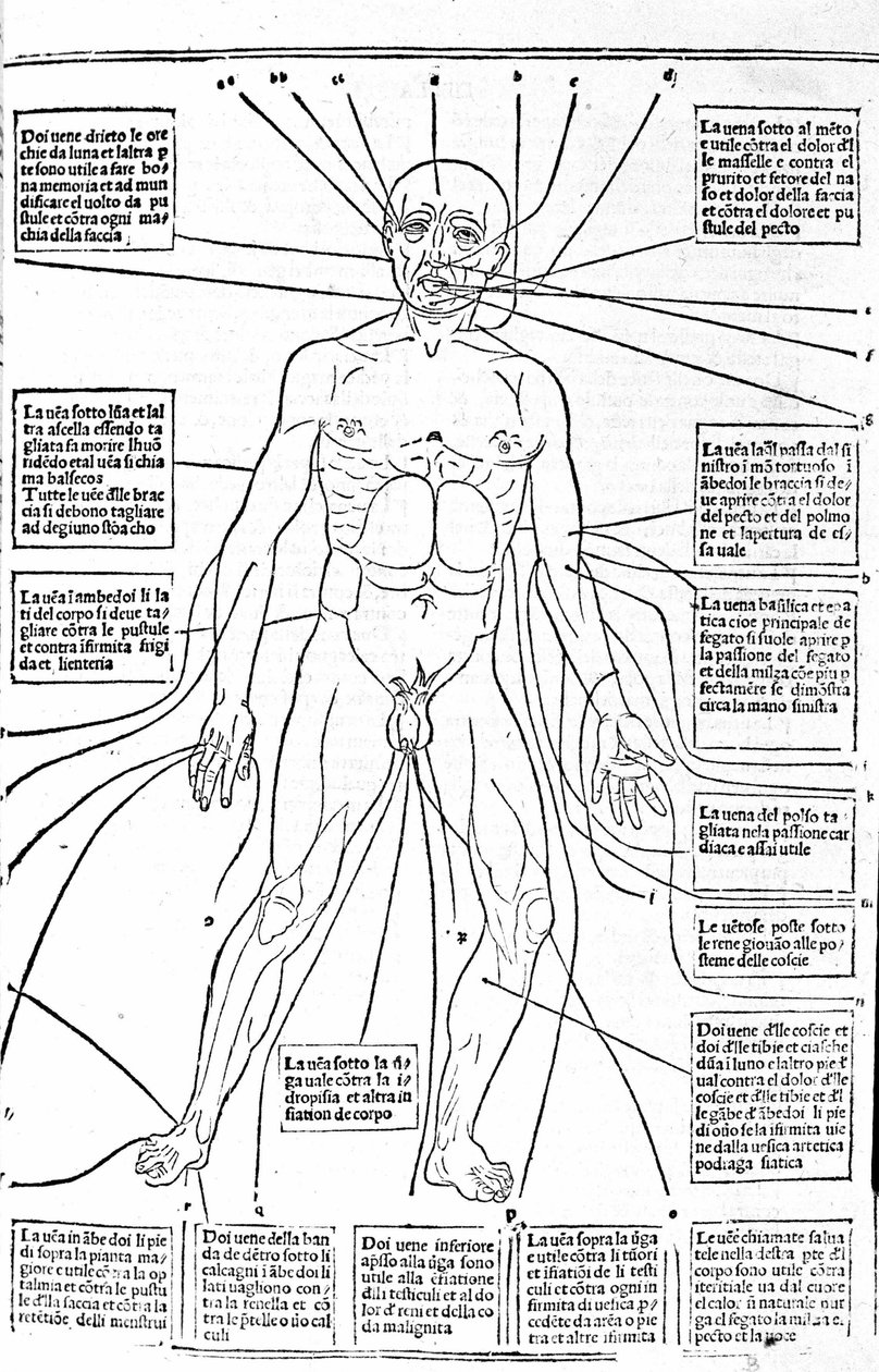 Dette billede viser steder af kroppen eller praksis blødning afhængigt af smerten. Afhandling om medicin af Gerolamo Cardano (Cardanus Hieronymus), Firenze af Unknown artist